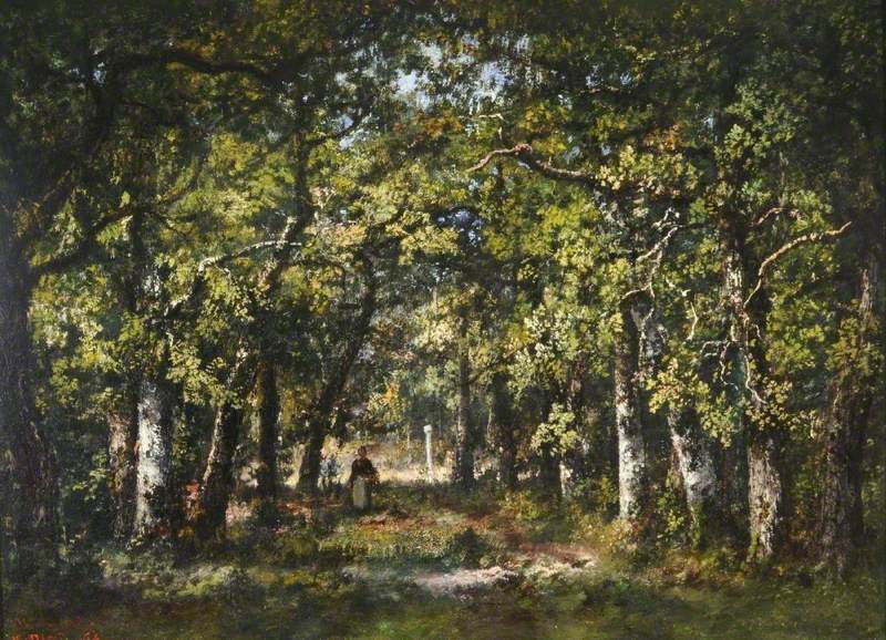 Bas Breau, par le carrefour de Clair-Bois en la forêt de Fontainebleau, France