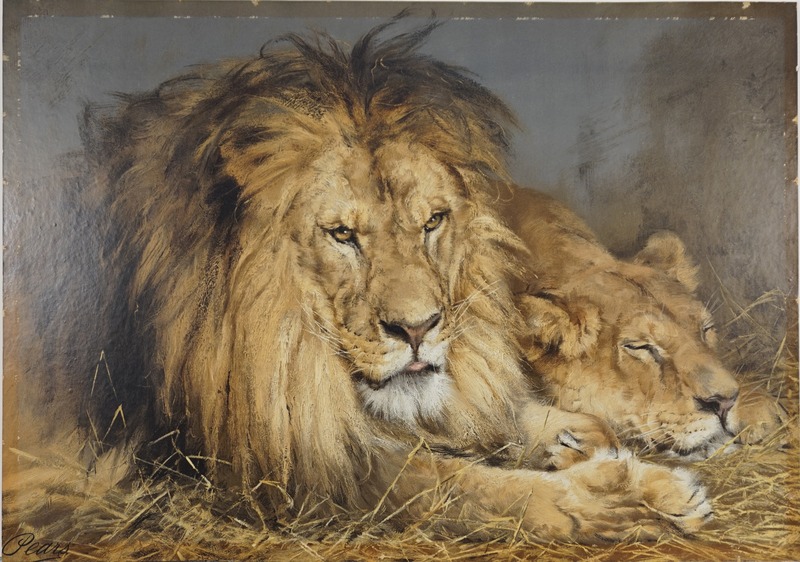 Two Lions