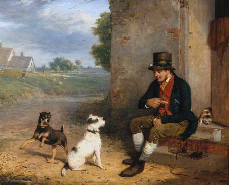 The Rat-Catcher and his Dogs