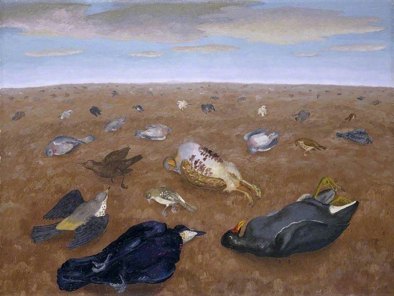 Landscape of Shame