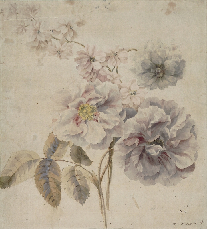 Roses, and Other Flowers