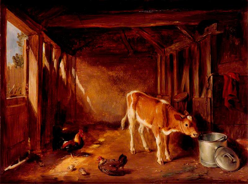 Interior of a Cattle Shed