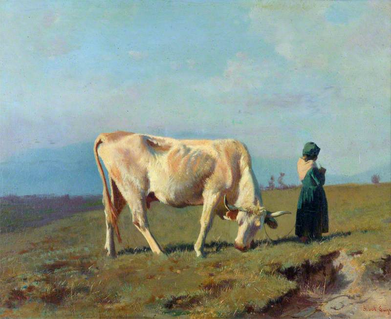 The White Cow