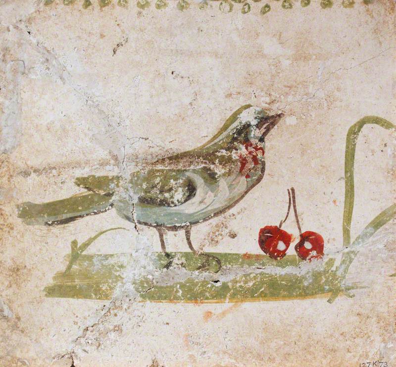 Bird Standing on the Ground with Fruit