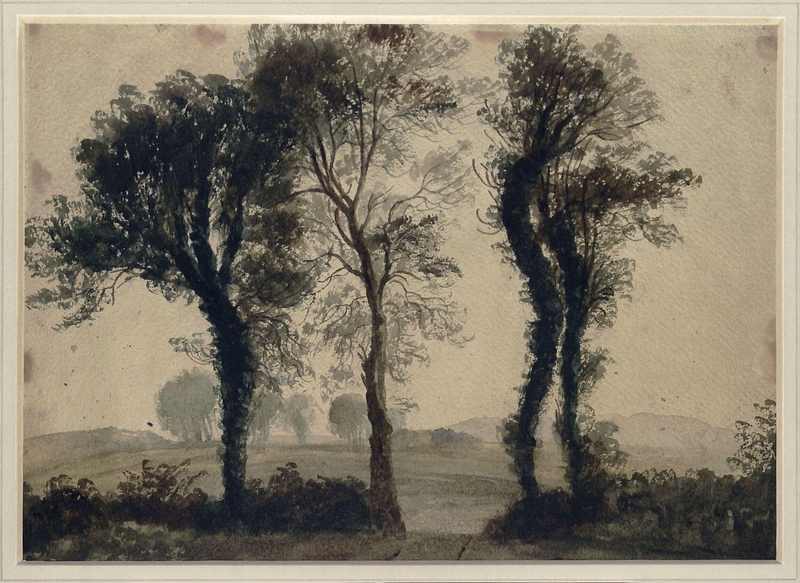 Study of trees