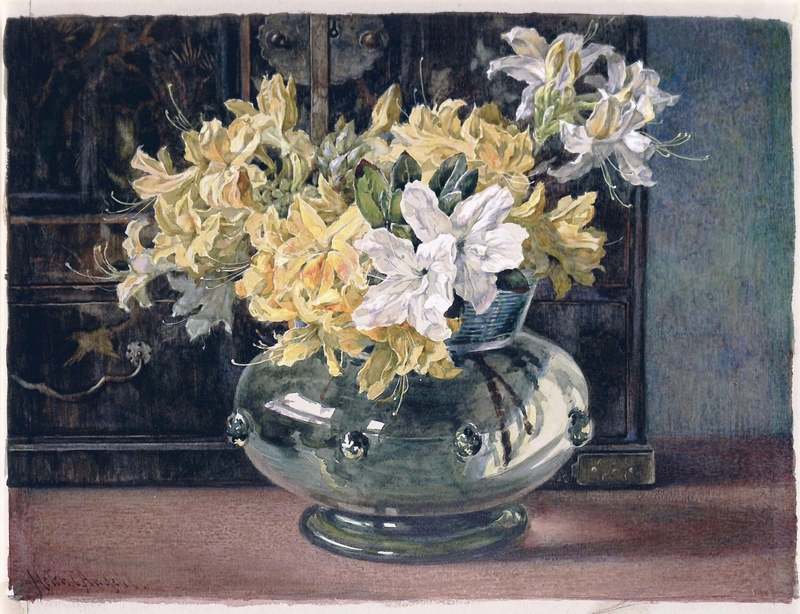 Azaleas