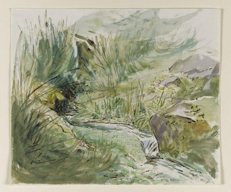 Mountain stream with vegetation and rocks