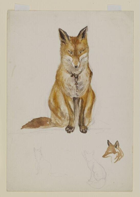 Watercolour