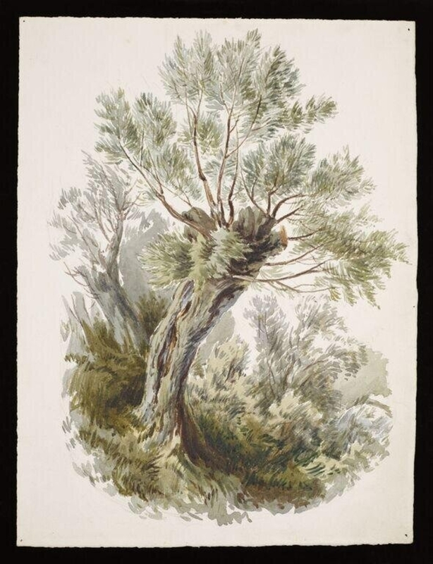 Watercolour