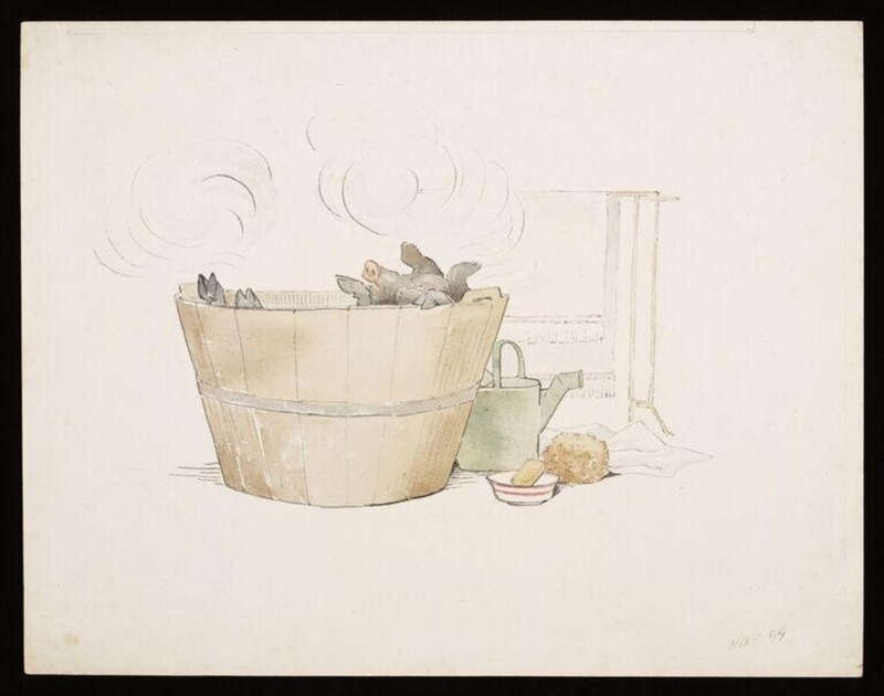 Pig in a tub