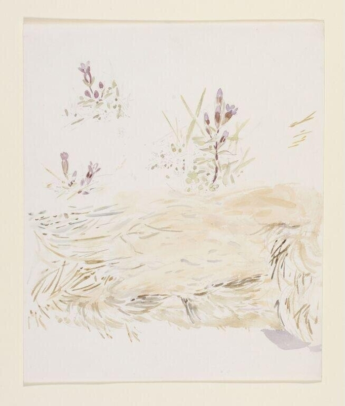 Watercolour