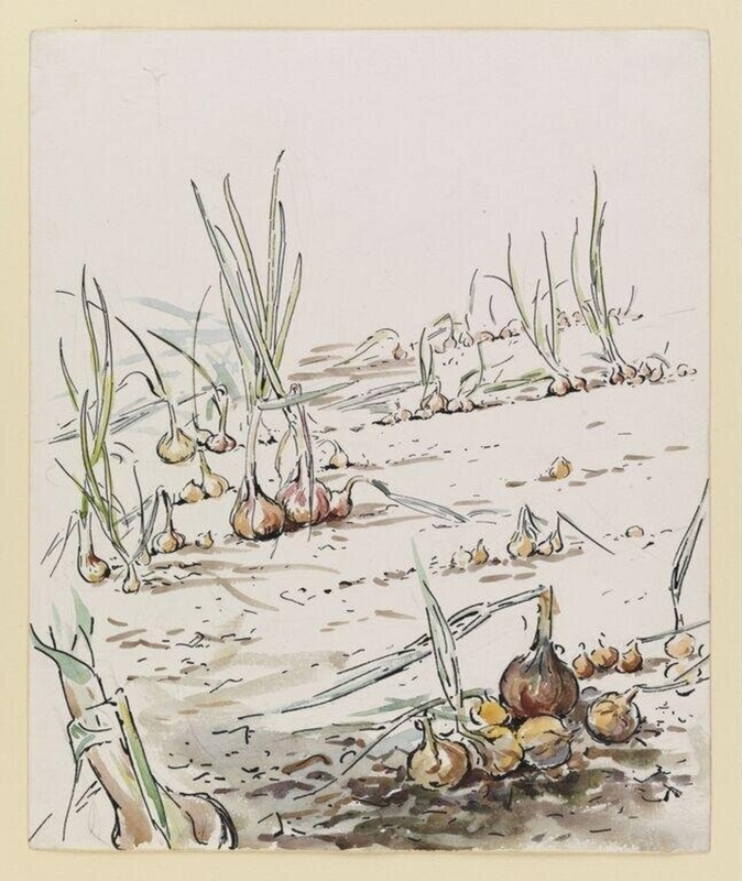 Watercolour