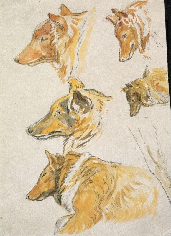 Studies of the head of a dog, 'Kep'