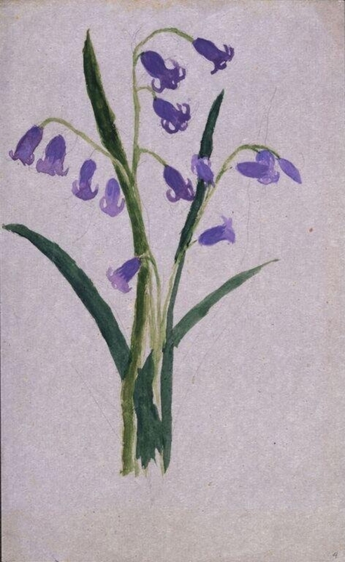 Watercolour