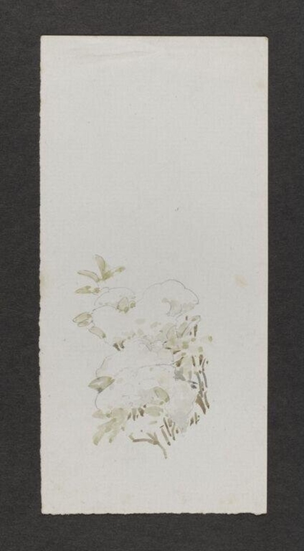 Watercolour