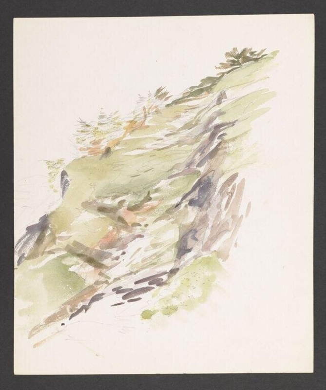 Study of a hillside path with ferns
