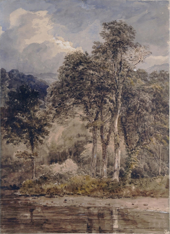 Wood Scene