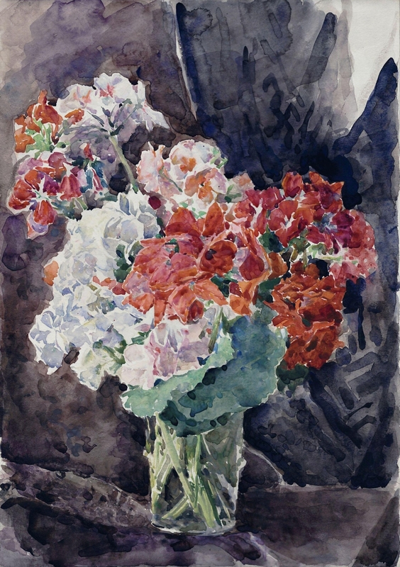 Red and White Geraniums