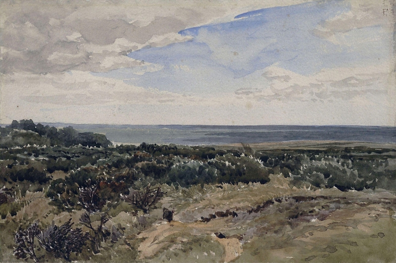 Gorse Common
