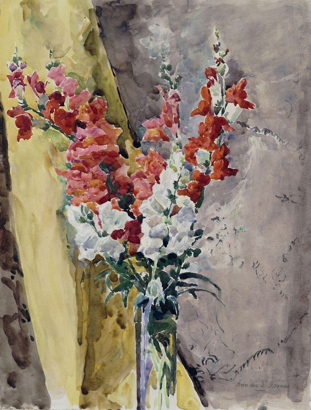 Antirrhiniums by a Yellow Curtain