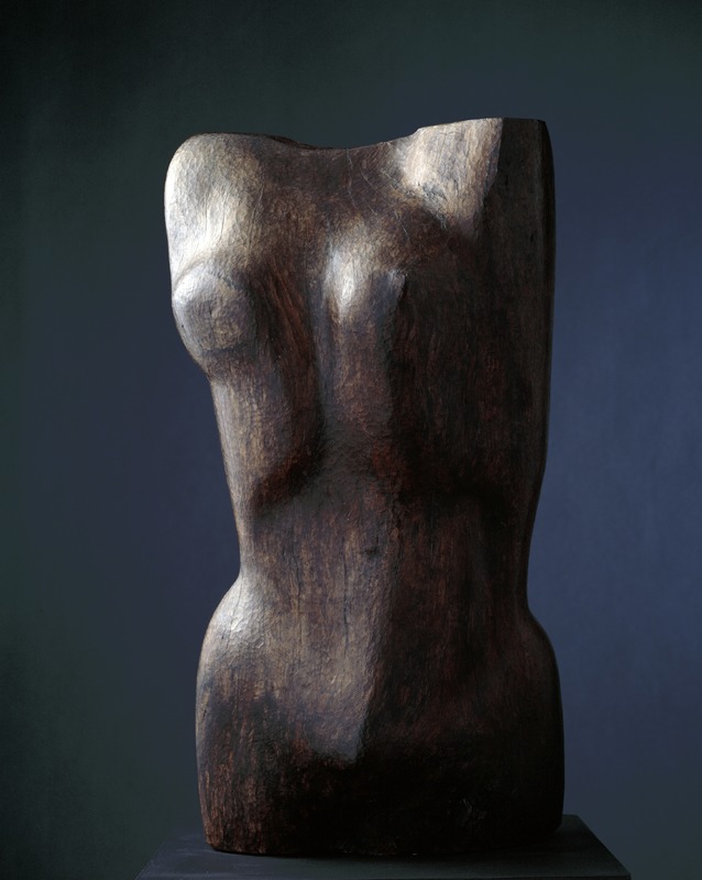 Female Torso