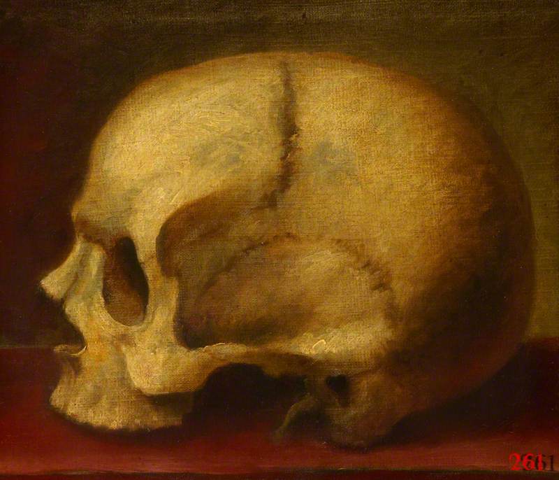 Skull, Left Profile