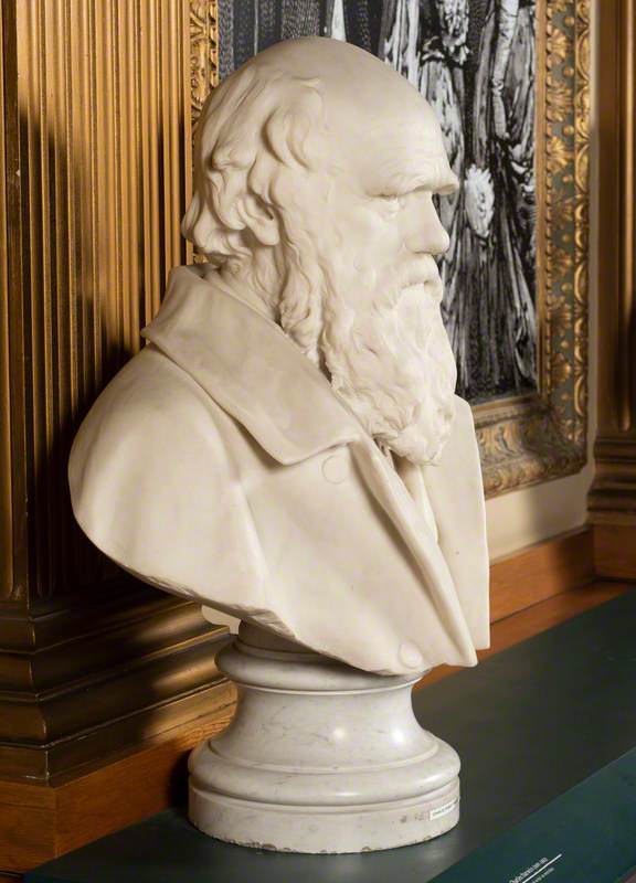 Charles Darwin (1809–1882)