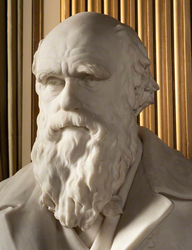 Charles Darwin (1809–1882)