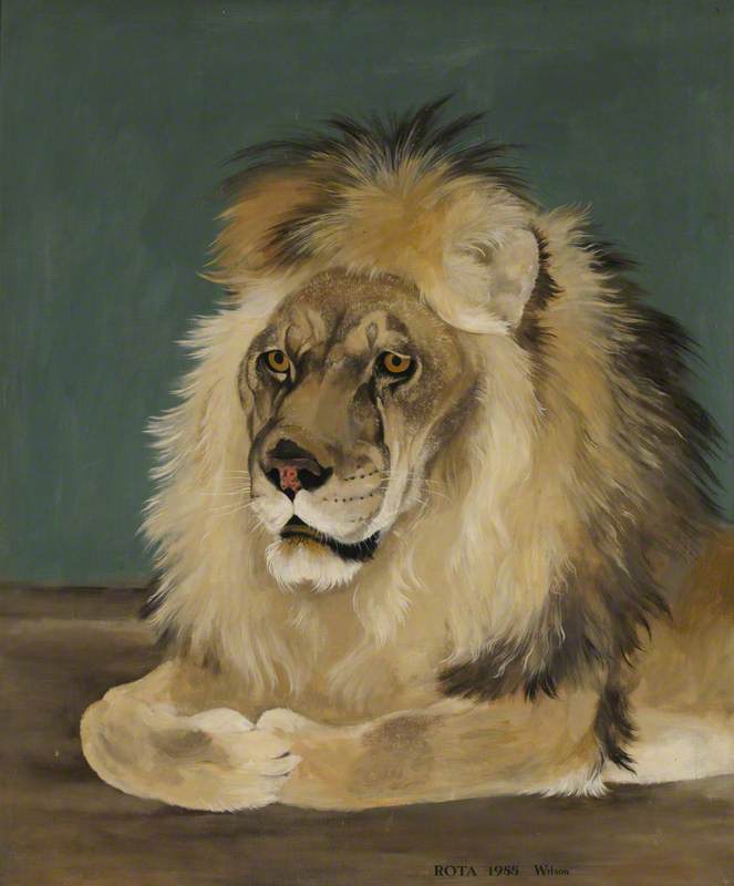 'Rota' the Lion