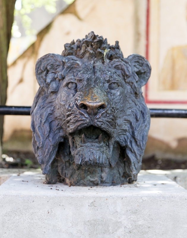 Lion's Head