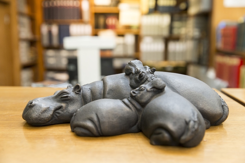 Hippopotamus Family