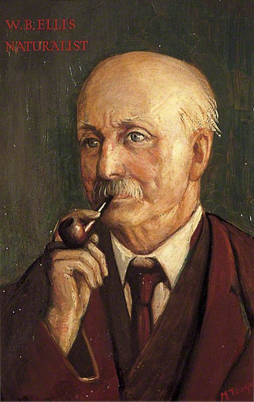 W. B. Ellis, Naturalist