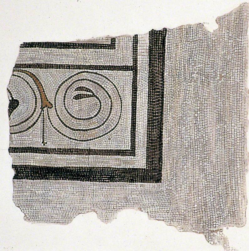 Spiral Vine Tendril Border on Late First Century Mosaic