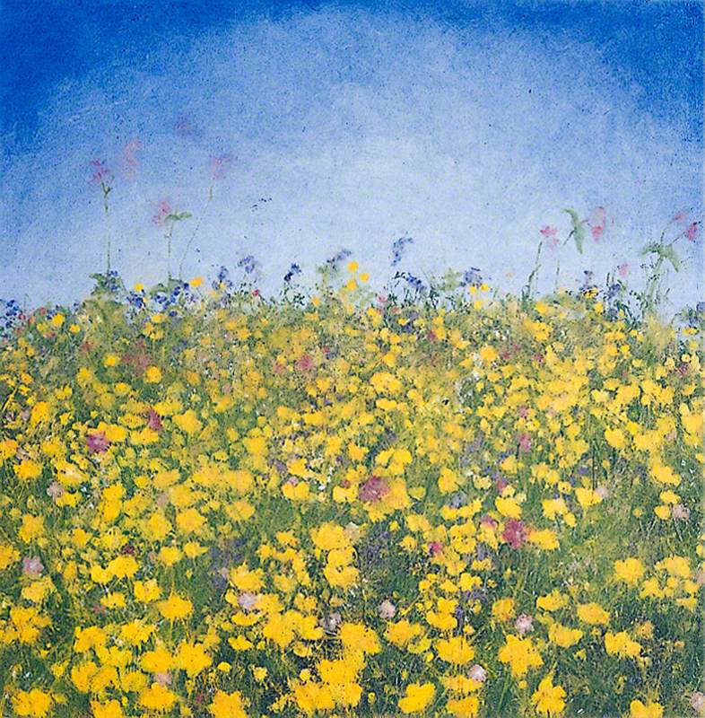 Buttercup Meadow