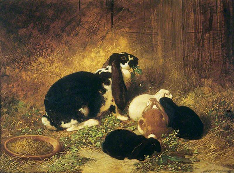 Rabbits | Art UK