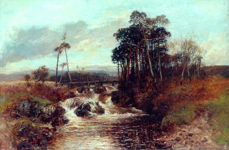 Trees and Torrent
