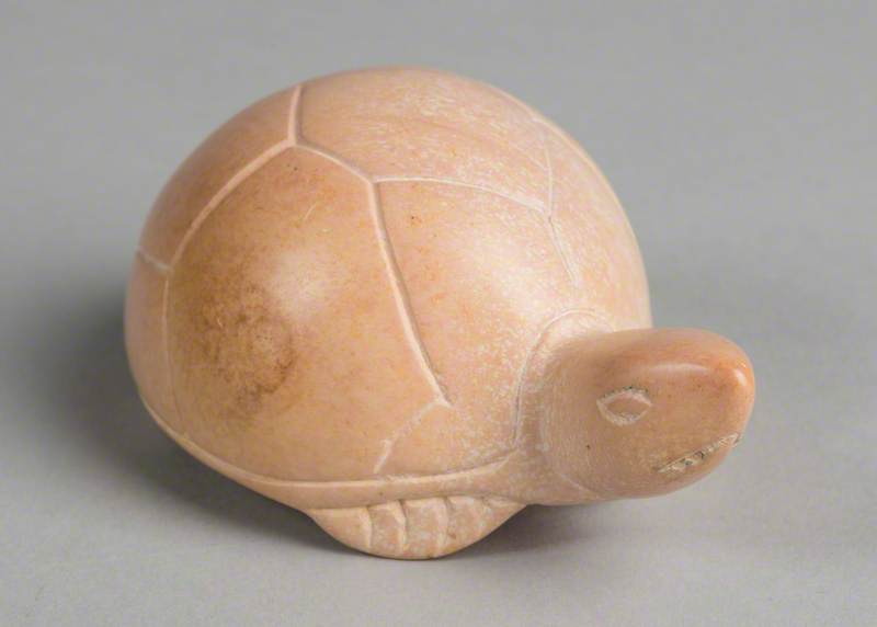 Peace Tortoise