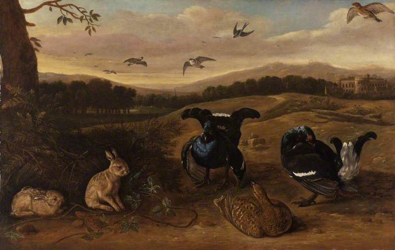 Black Game Rabbits, and Swallows in a Park