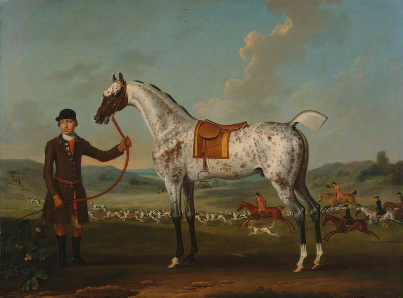 Scipio, a Spotted Hunter, the Property of Colonel Roche