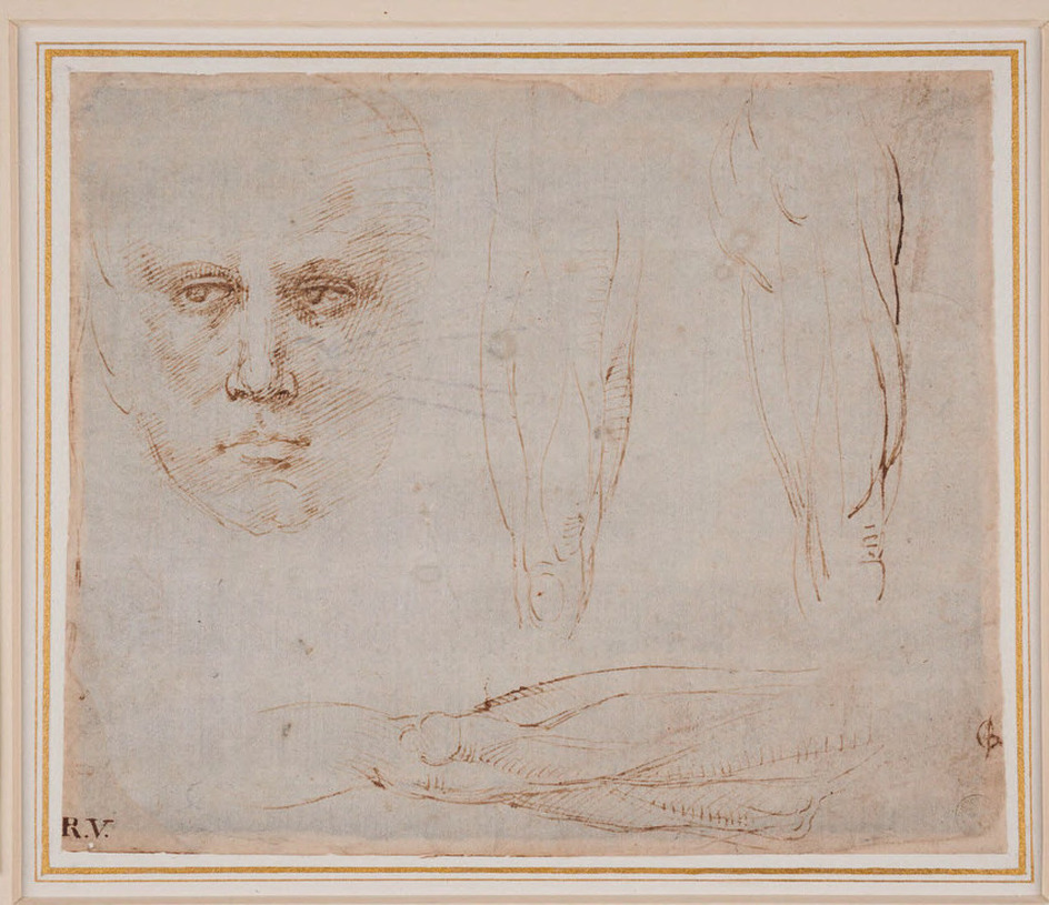Studies of a Man's Head and Legs
