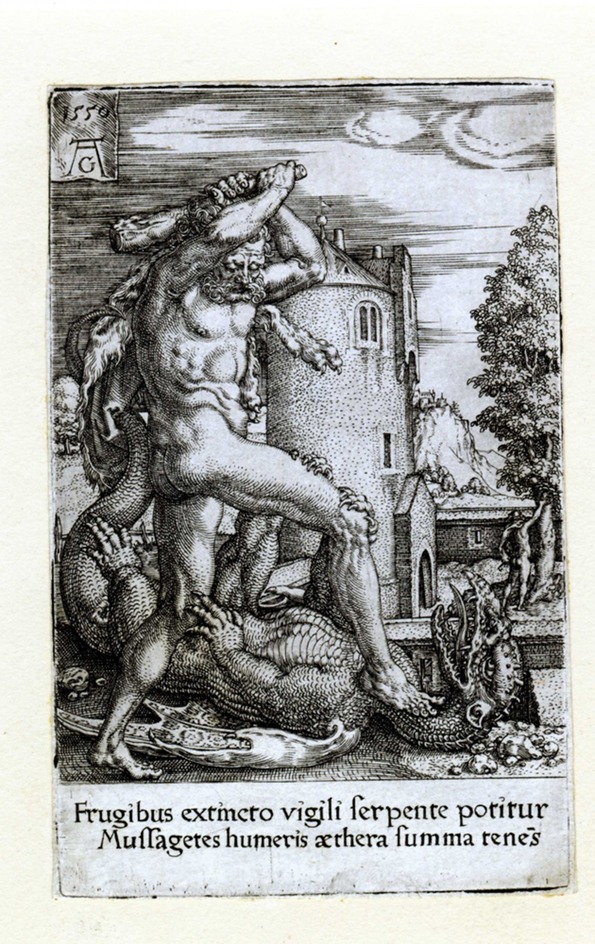 Hercules killing the dragon Ladon
