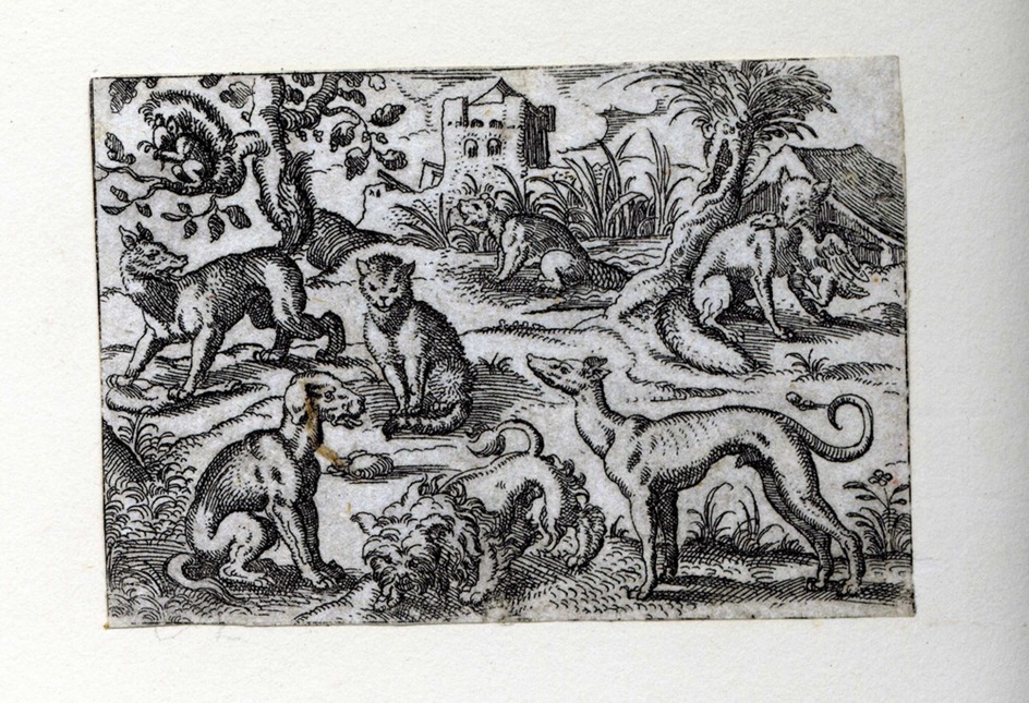 Three dogs, a wolf, a cat, a fox, a squirrel, and a beaver