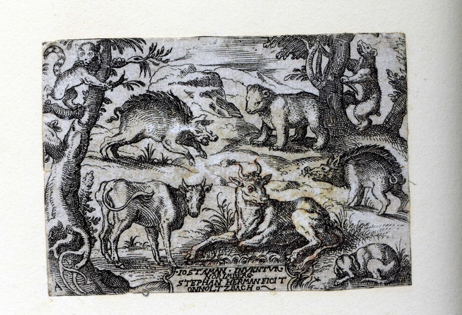 A cow, an ox, two pigs, a cat and two bears