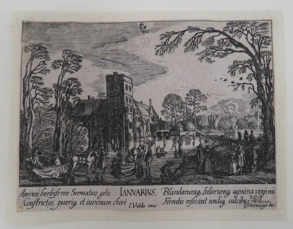 Ivanarivs (January)