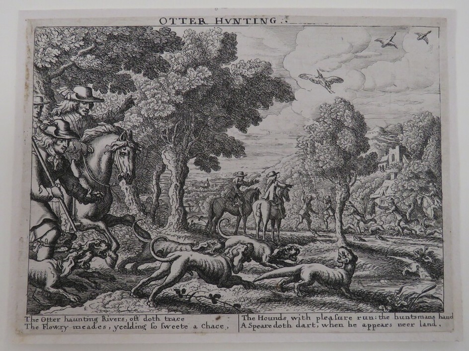 Otter Hunting