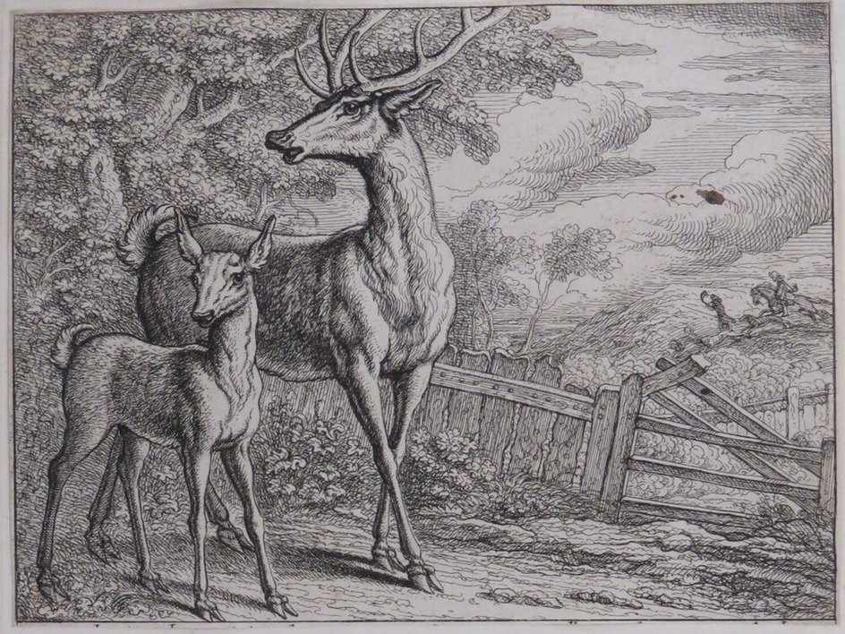 Aesop's Fables: The Old Deer and Fawn