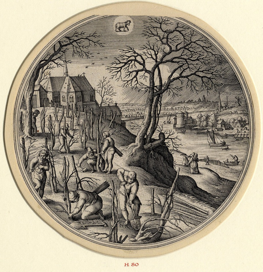 Martius (inscribed)