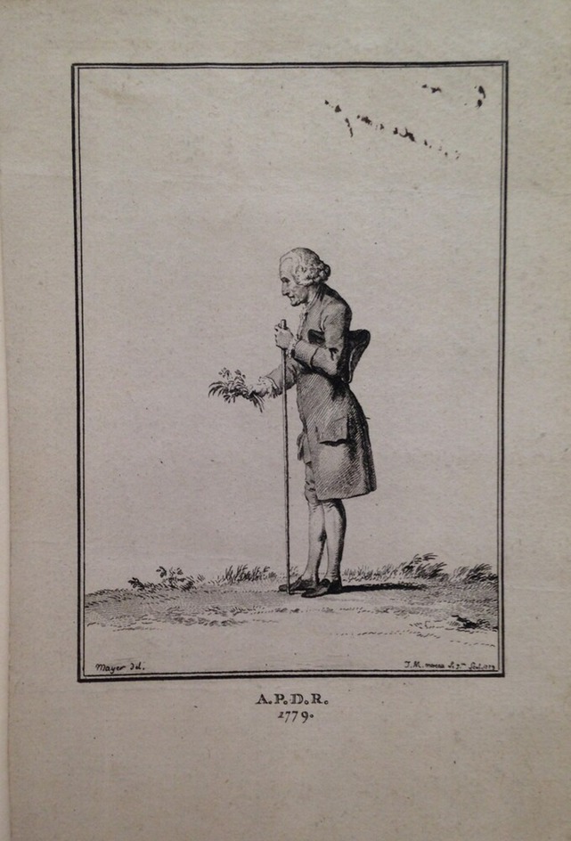 Portrait of Jean-Jacques Rousseau botanizing