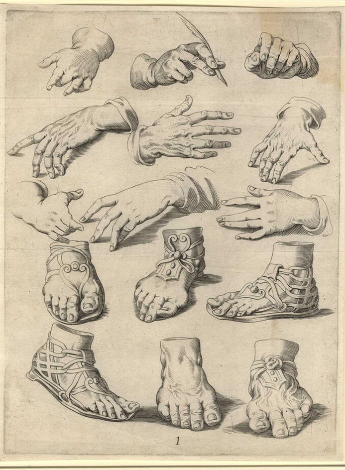 Studies of nine hands and six feet