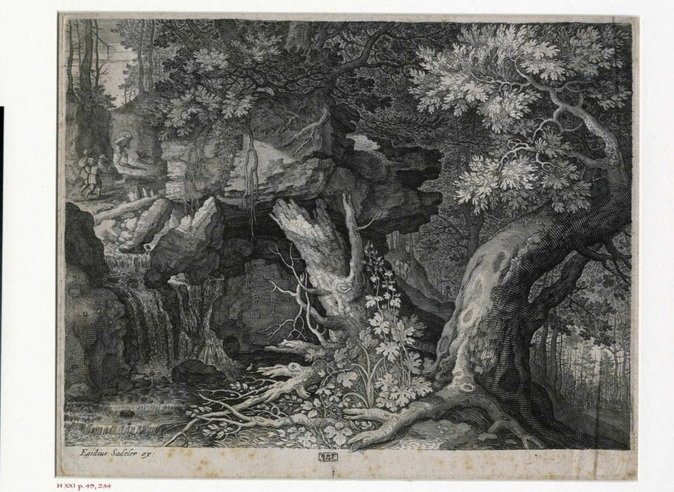 Three men and a dog on a path above a waterfall
